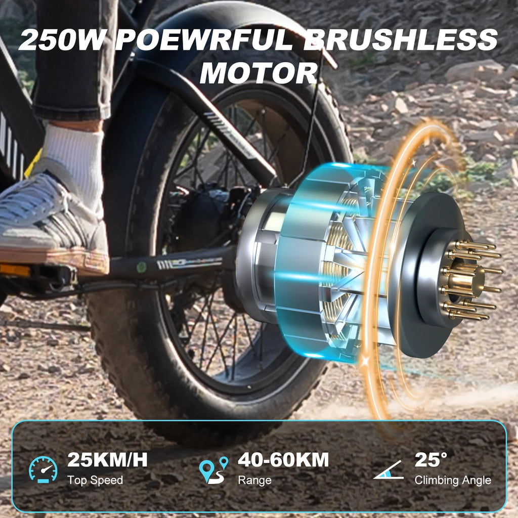 RCB 20'' E Bike, Electric Mountain Bike for Adults, Commuting Electric Bike with Removable 48V 15Ah Battery & APP, Range 40-60KM