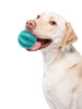 Dog Toy Ball Interactive Rubber Balls Puppy Chewing Toys Pet Tooth Cleaning Ball Cats Pets Food Treat Feeder Silicone Balls Toy