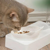 New Pet Bowl 15 Degrees Tilt to Protect Cervical Vertebrae Dog Food Bowl Automatic Drinking Feeder Pet Feeding Supplies
