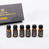NAMSTE Motor Lugverfrisser Luukse 6-Pak Premium Hotelversameling Geurolies Vir Motor Aromaterapie Masjien Bevogtiger 10ML