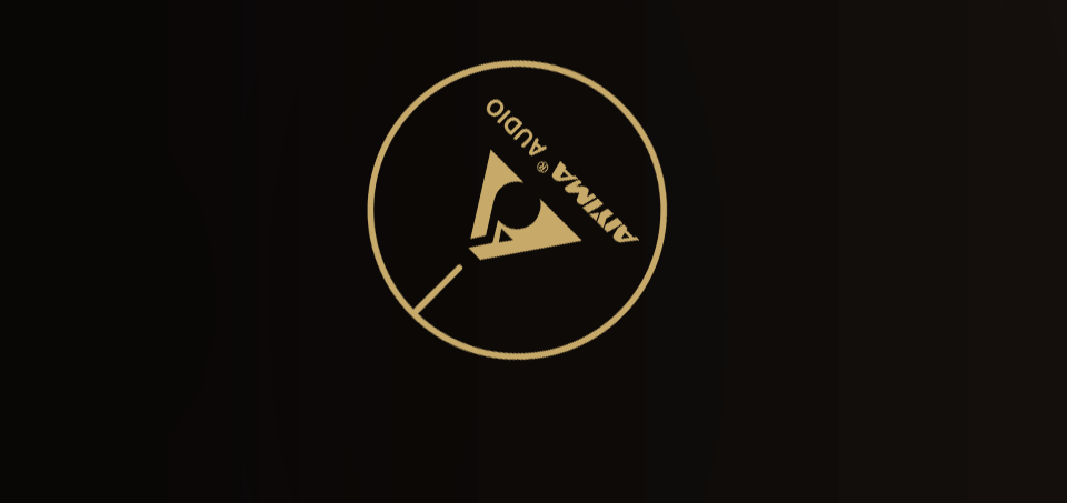 AIYIMA A70 Mono Amplifier Power 300W TPA3255 With PFFB Subwoofer For Home Sound Theater Trigger Input 1/2/3/4/5/6/7/8 Channel