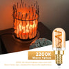 Dimmable T22 E14 Led Bulb 220V 1.5W Edison Spiral Filament Lamp Warm White Salt Lamps Retro Night Lights Mini Tube Light Decor