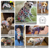 Cute Pet Pajamas for Small and Medium Dogs and Cats - Soft and Comfortable Jumpsuit for Your Furry Friend
